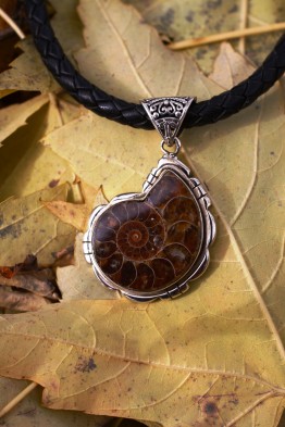 Ammonite pendant on braided leather